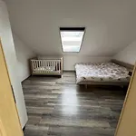 Wunderschoene Und Helle Appartement *